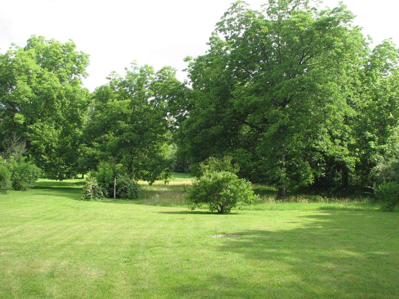 4814 Hillsboro Hwy - Photo 1
