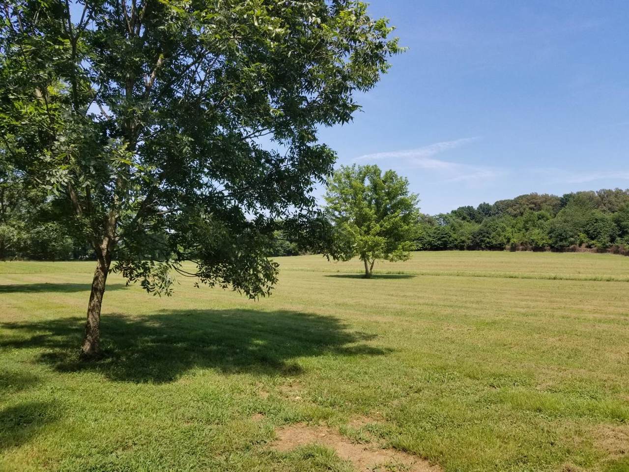 6272 Roy Pearson Rd - Photo 1