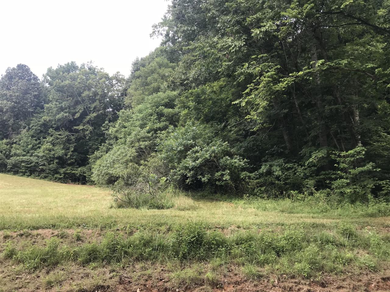 1570 Old Gallatin Road - Photo 1