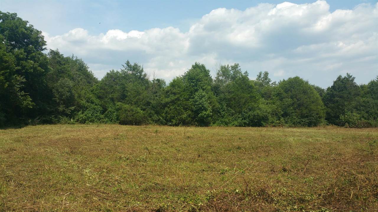 1 John Windrow Rd - Photo 1