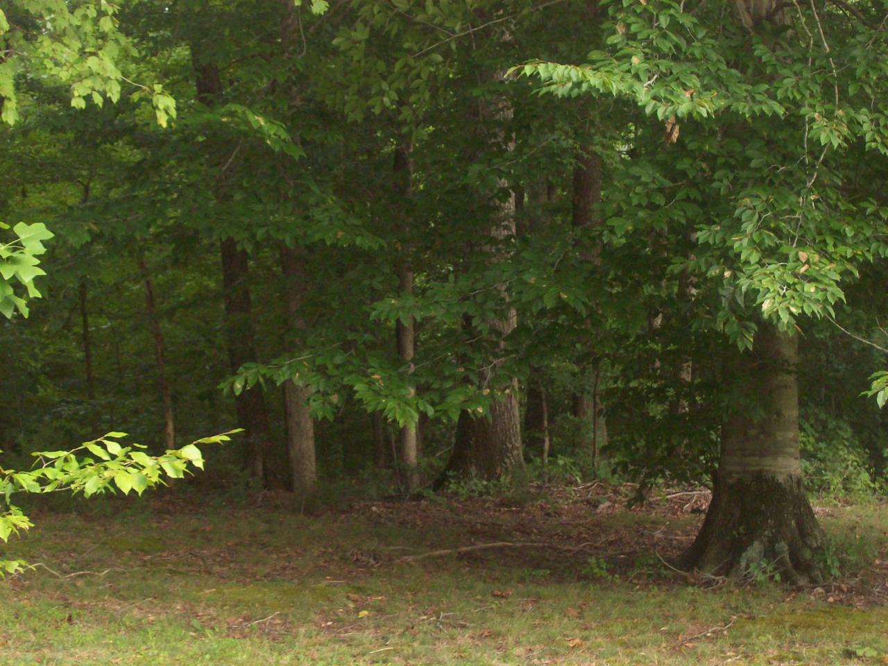 0 Froedge Drive - Photo 1