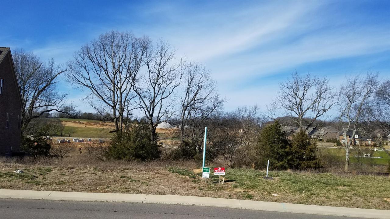 1032 Lawson Lane - Photo 1
