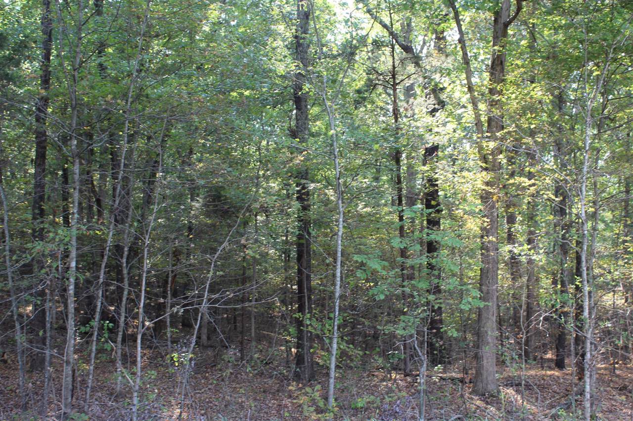 1 Highway 49 - Photo 1