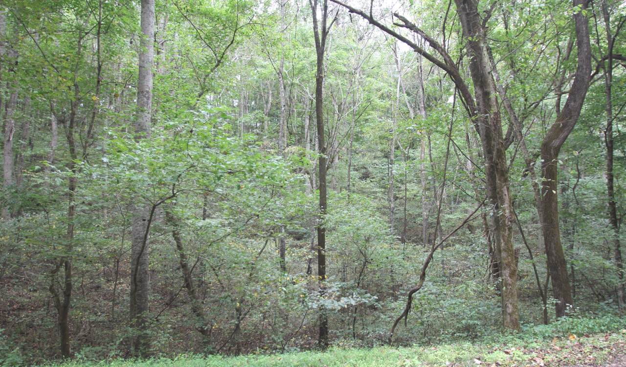 0 Straight Creek - Photo 1