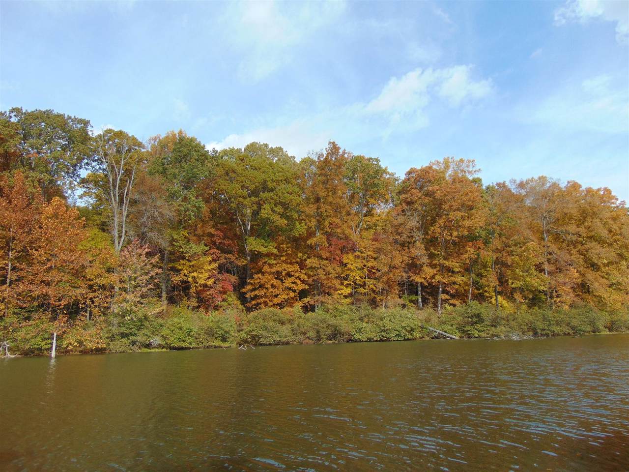 0 Pine Lake Rd, Lot #40 - Photo 1