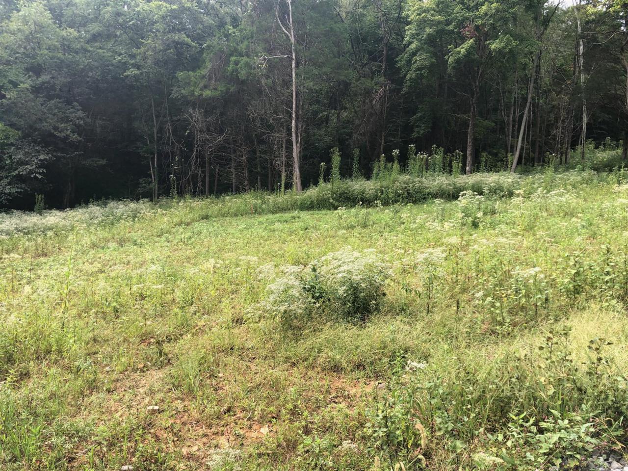1287 Sandy Valley Rd - Photo 1