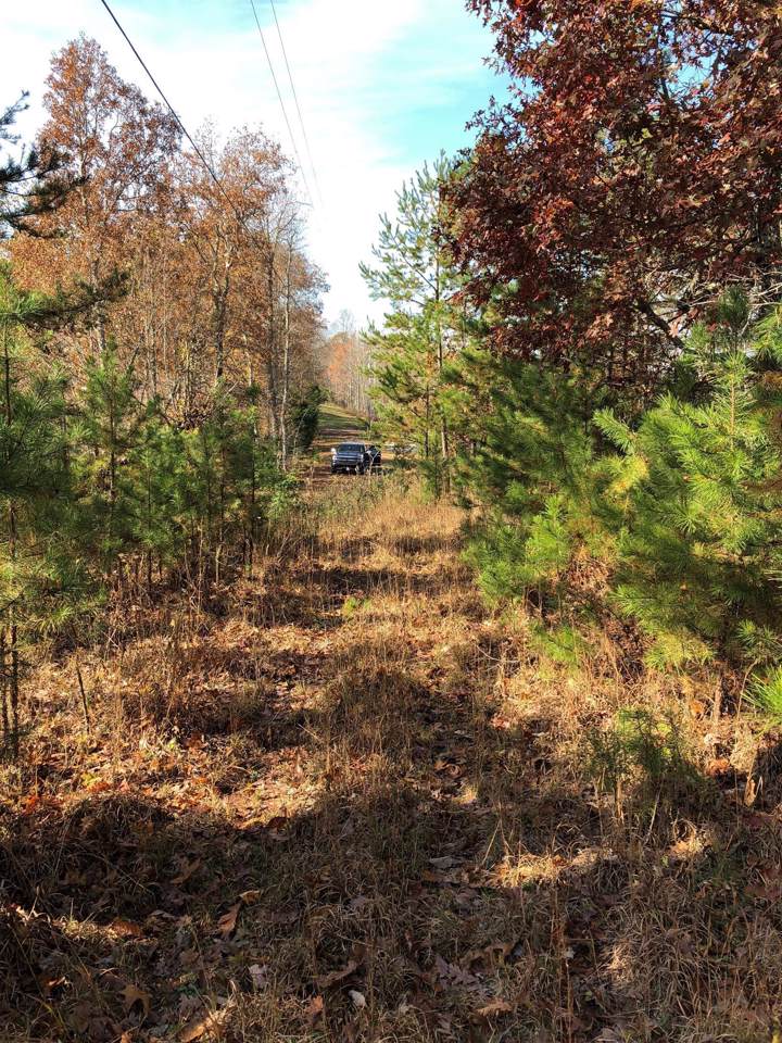0 Antler Dr - Photo 1