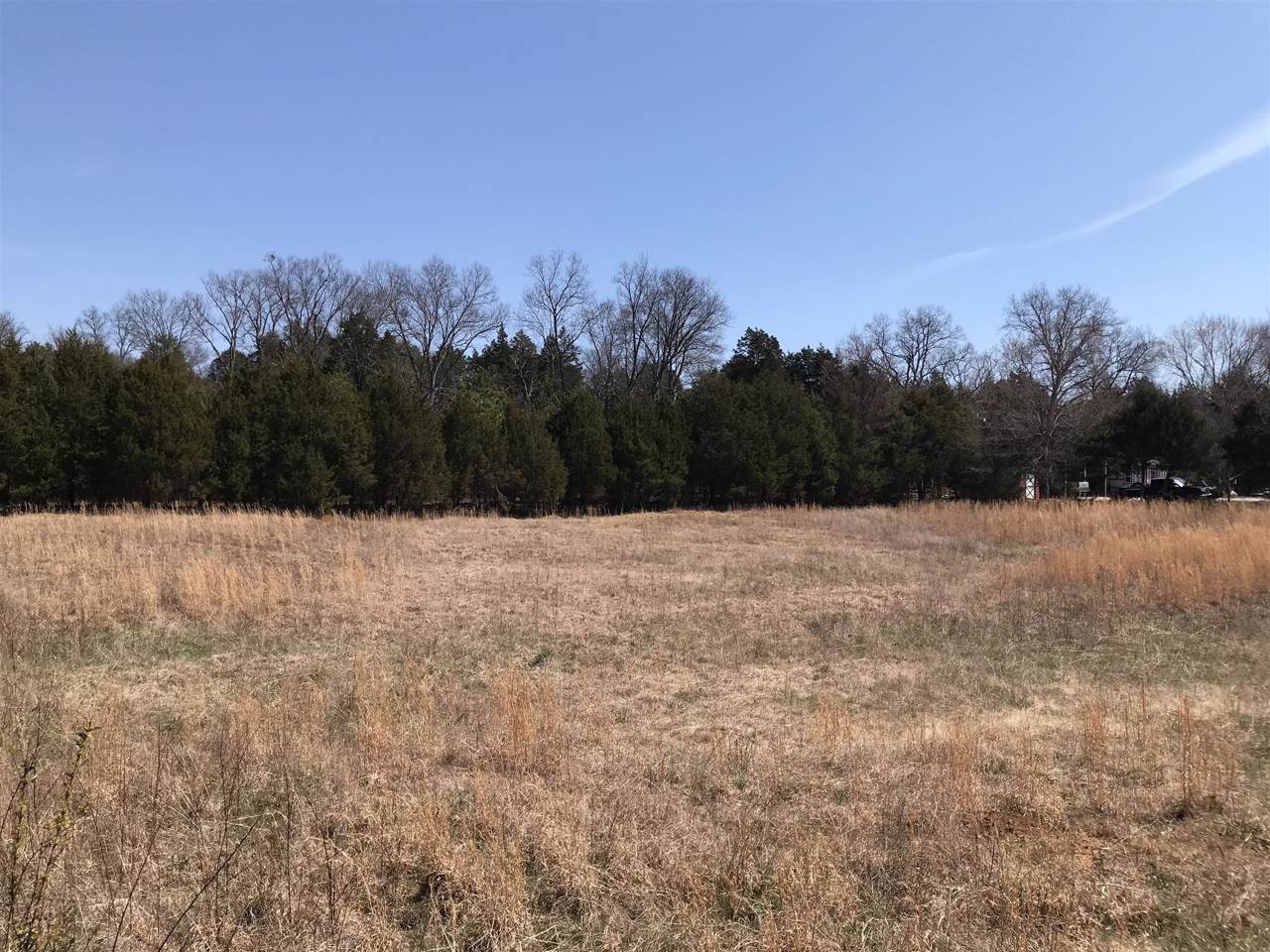 0 New Lewisburg Hwy - Photo 1