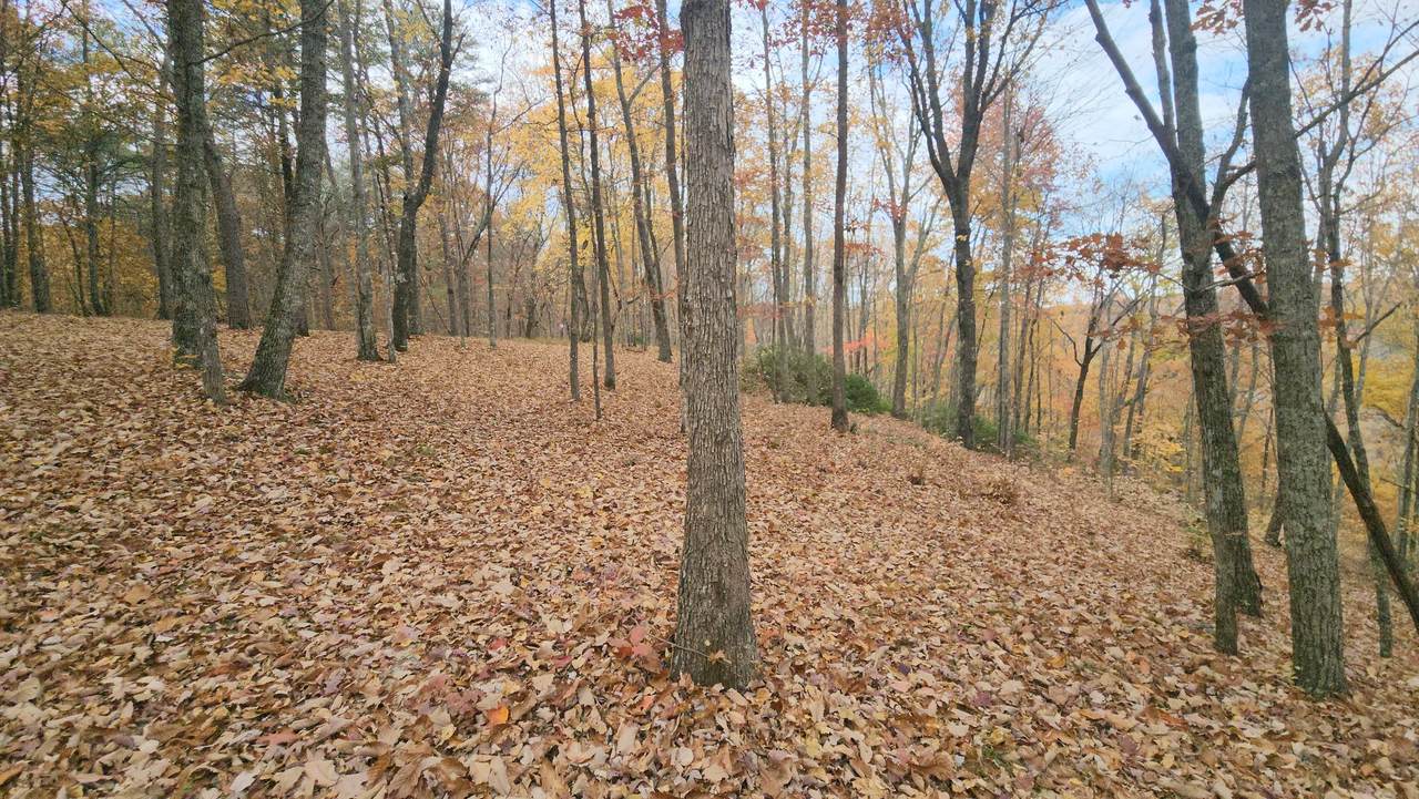 9 Bridal Veil S - Photo 1
