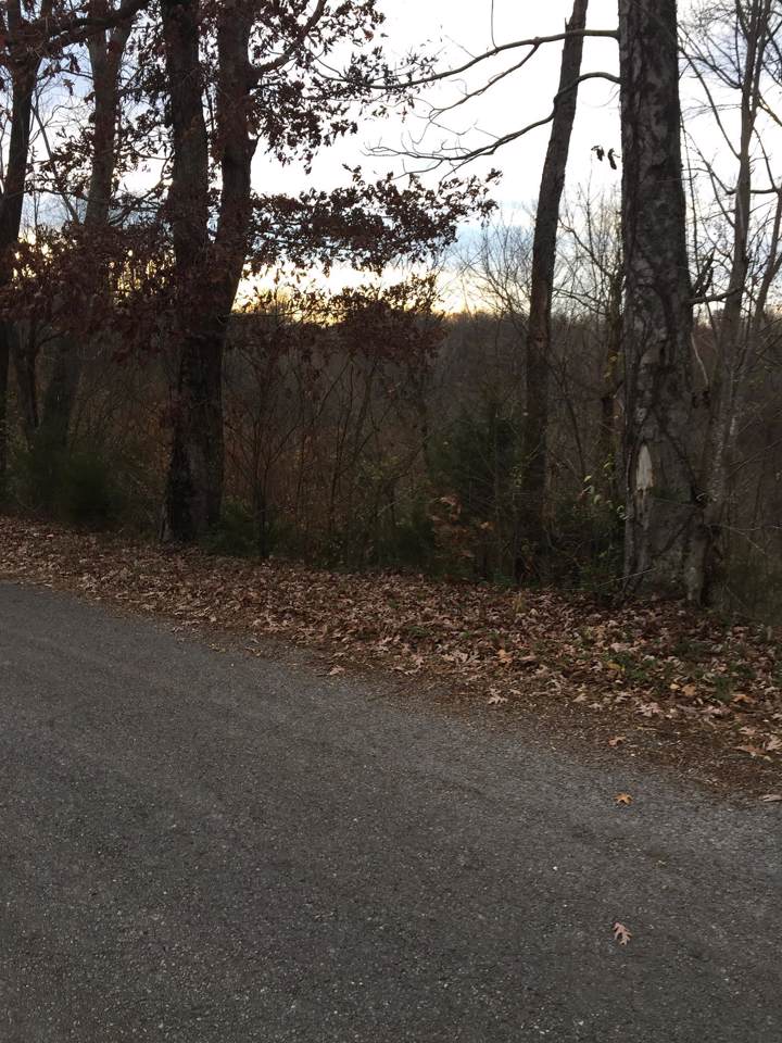 0 Coconut Ridge Rd Lot 4 - Photo 1