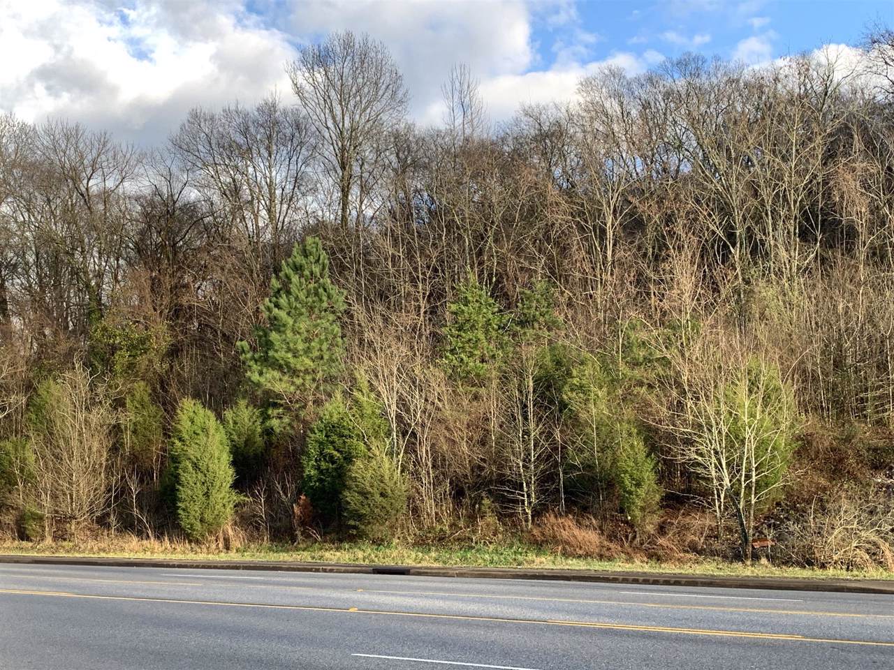 0 Hixson Pike - Photo 1