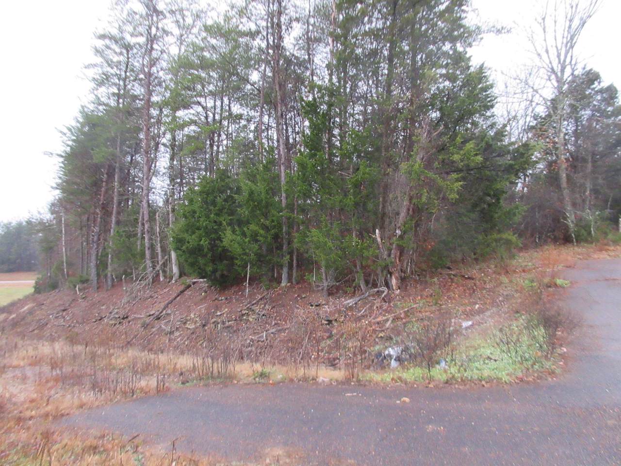 0 Hugh Nance Ln - Photo 1