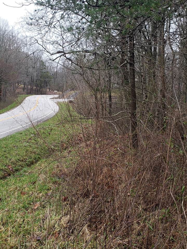 0 Us Hwy 41 - Photo 1