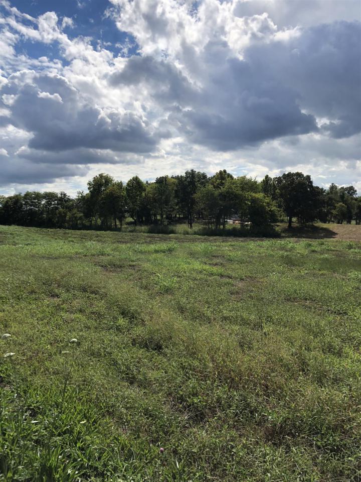 0 Greenwood Road Lot 1 B - Photo 1