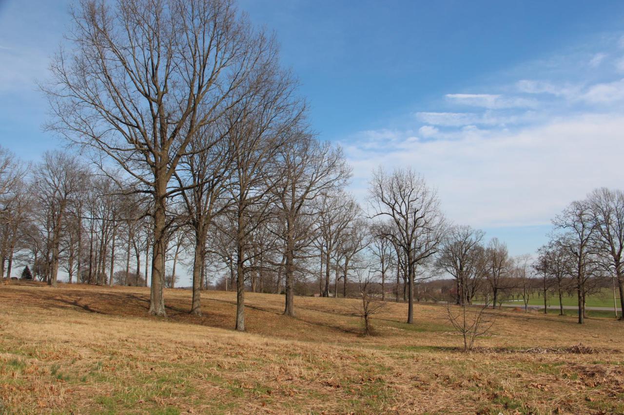 0 Highway 41N - Photo 1