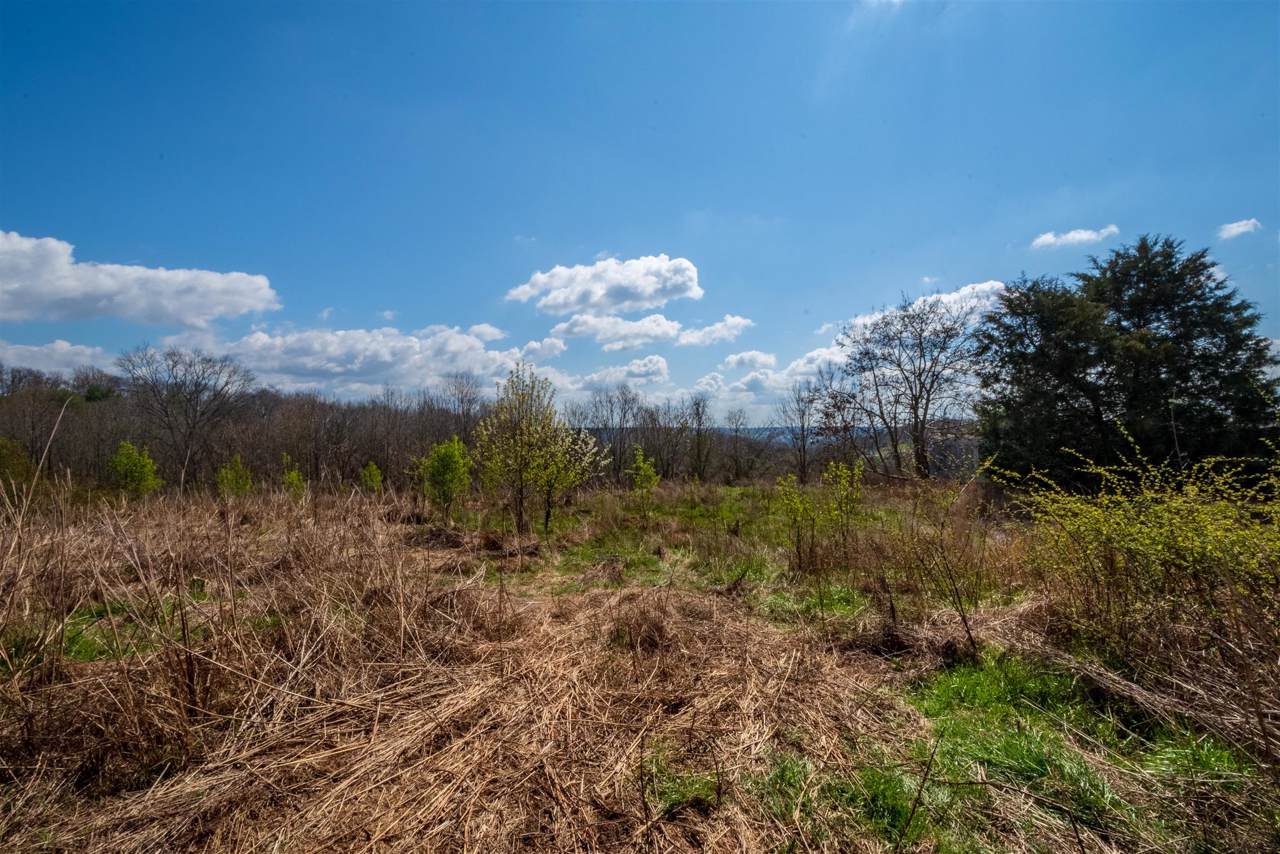165 Milky Way Dr - Photo 1