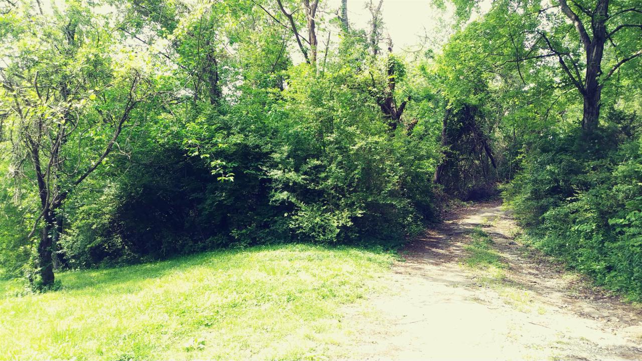 431 Munn Rd - Photo 1