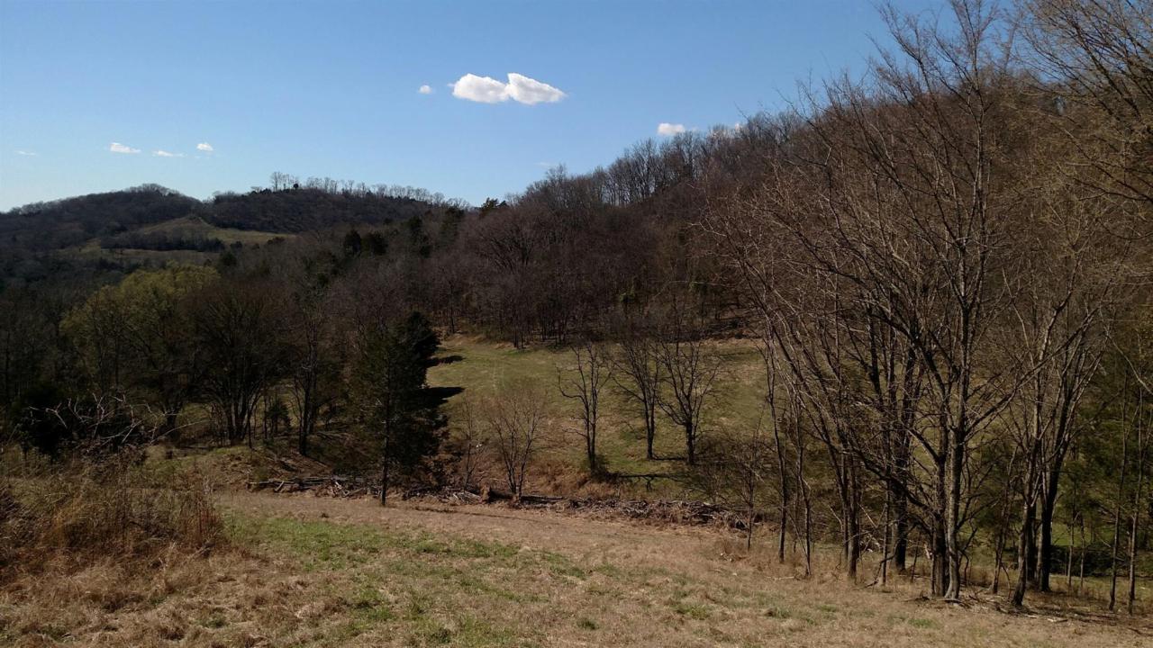 0 Wilburn Hollow Rd - Photo 1