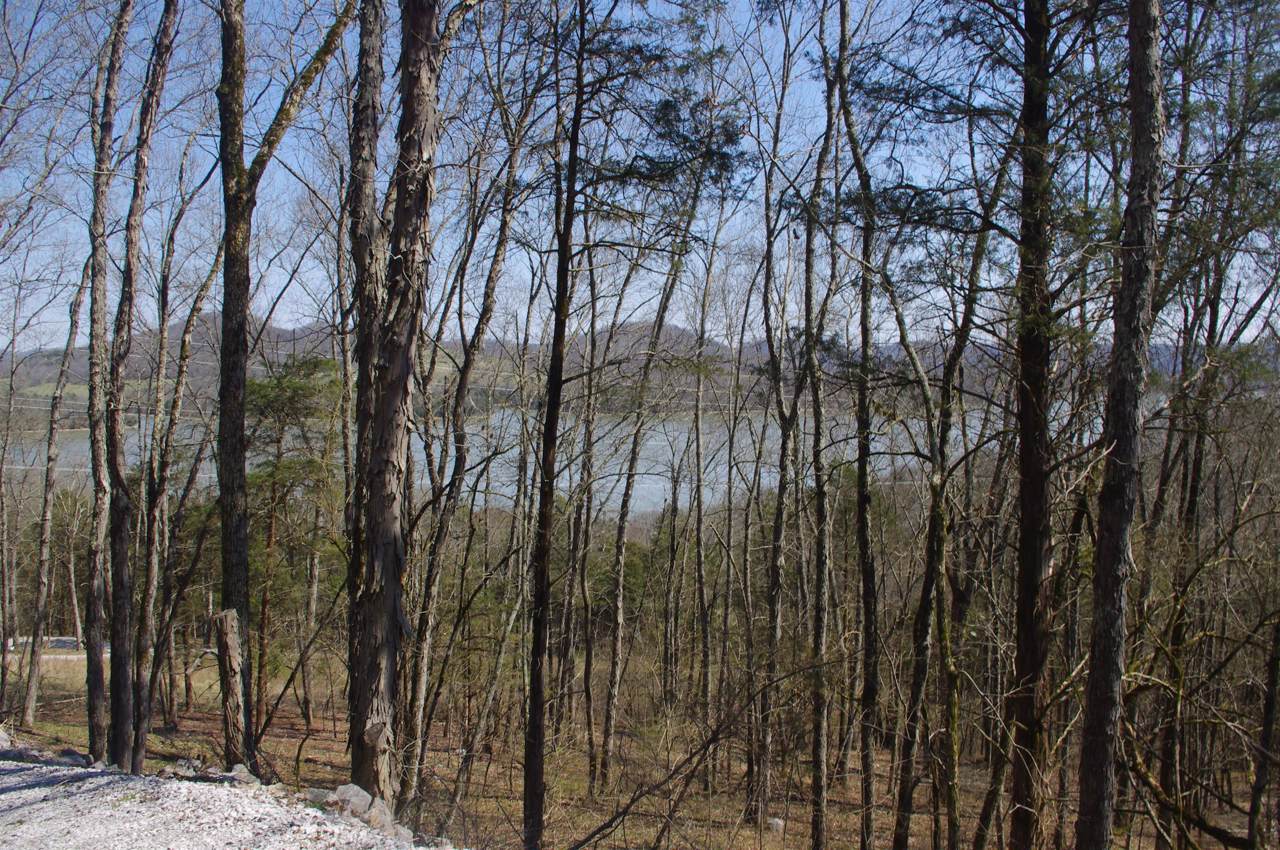 432 Horseshoe - Photo 1