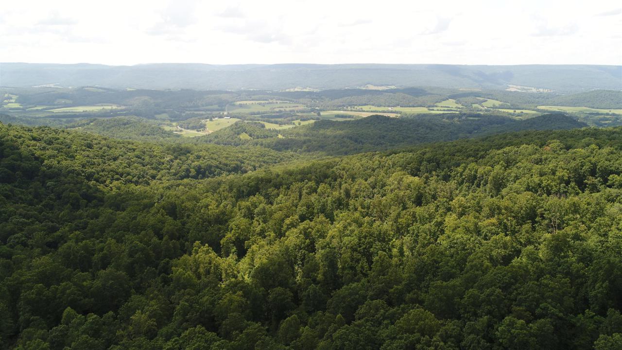 914 Pitts Gap Mtn Rd - Photo 1