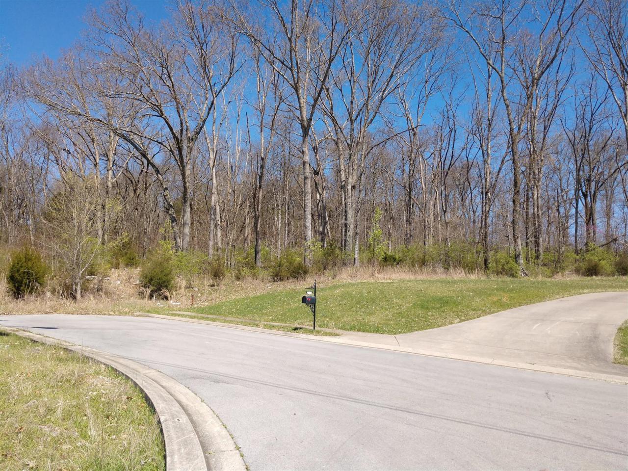 0 Williamsport Dr - Photo 1