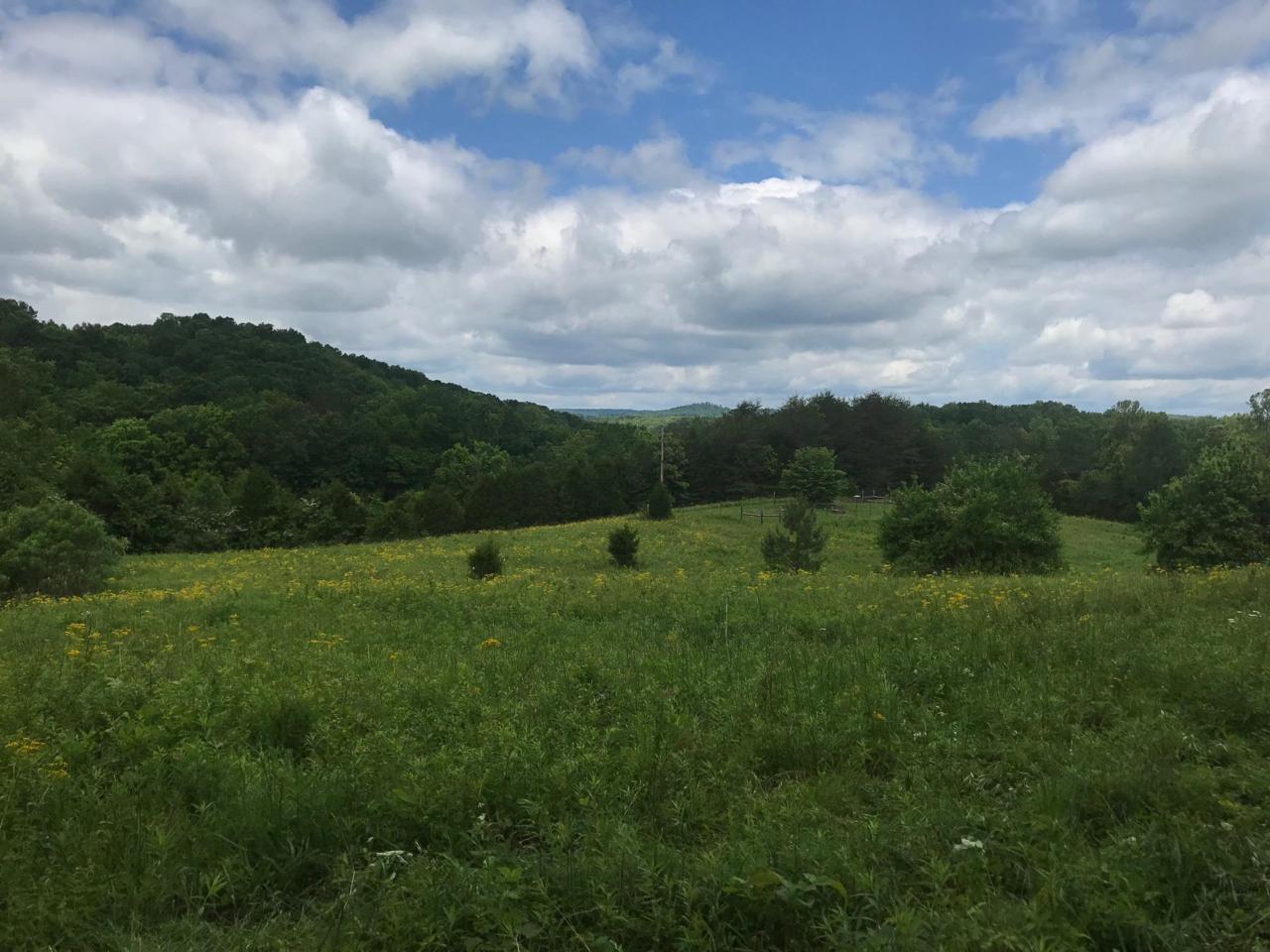 0 Cummingsville/Sparkmantown - Photo 1
