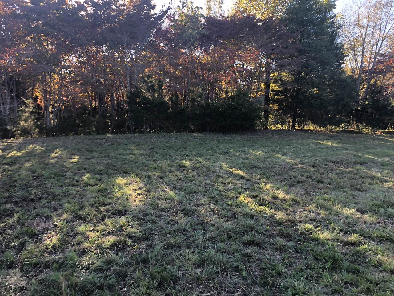 7950 Fisher Rd Lot #4 - Photo 1