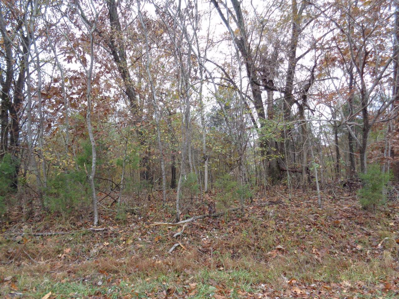 1 Huffman Park Lots 82/83 - Photo 1