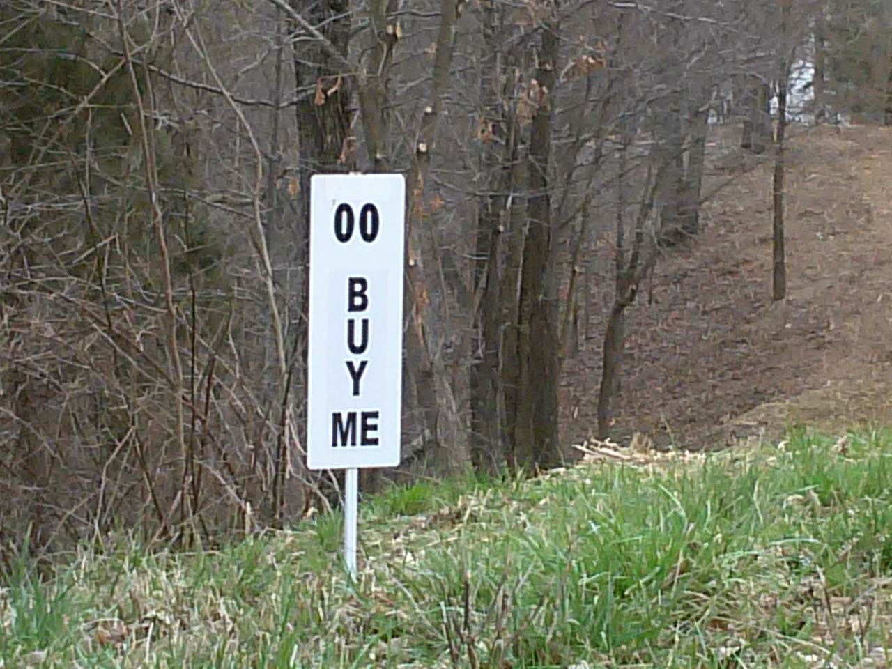 0 Tenn Riv - Photo 1