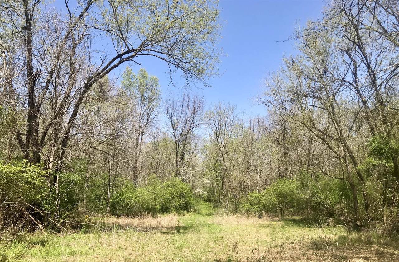0 Antrim Cir - Photo 1