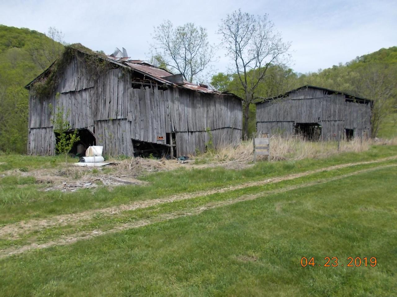0 Dog Branch Rd. - Photo 1