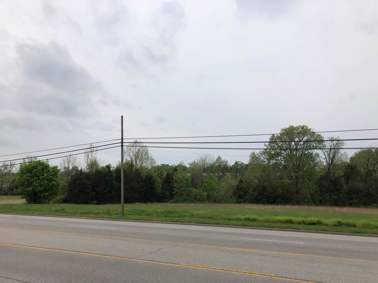 704 Springfield Hwy - Photo 1