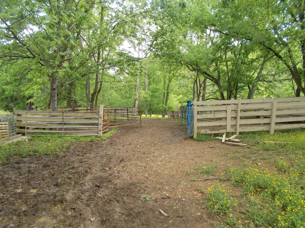 0 Haywood Hollow Rd - Photo 1