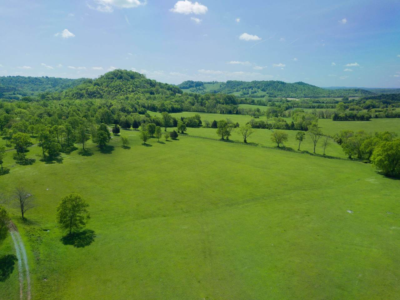 10107 Highway 269 Bell Buckle Rd - Photo 1