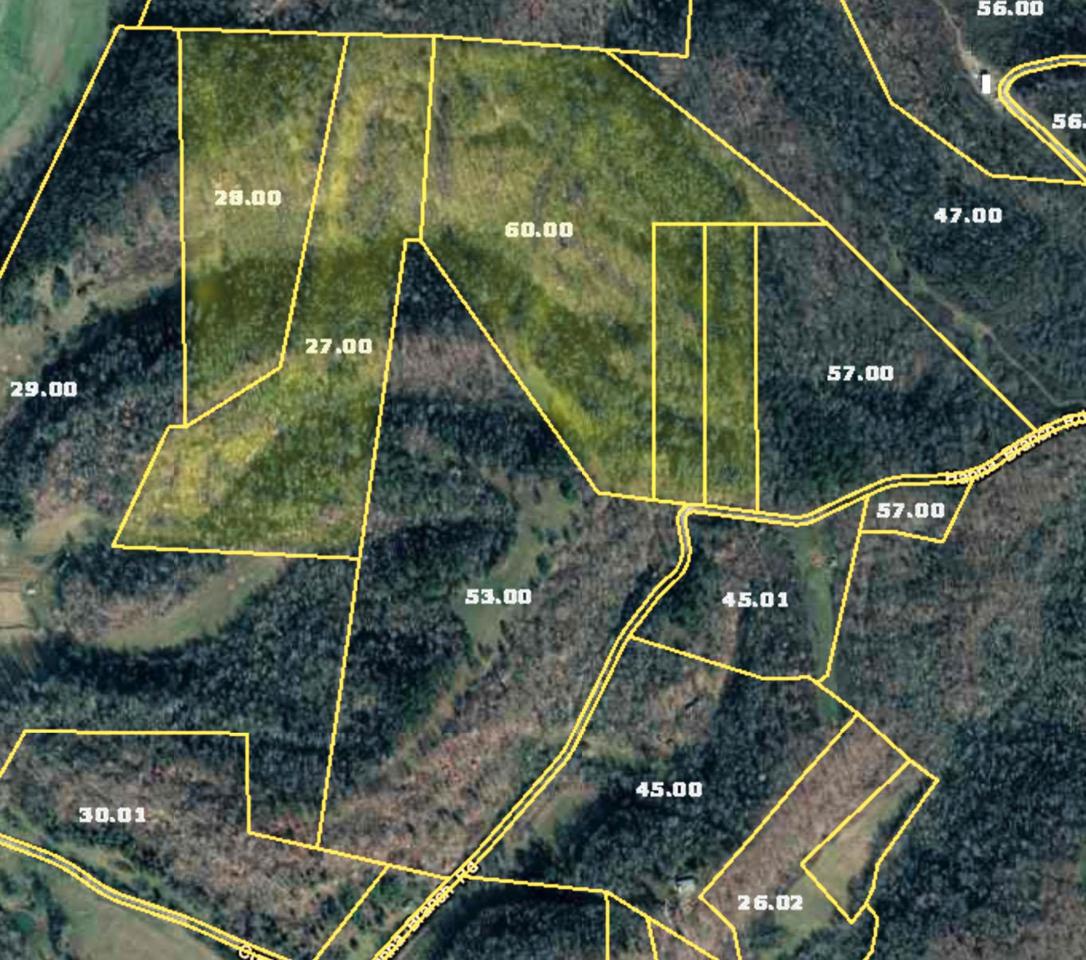 89 Hanna Branch Rd - Photo 1