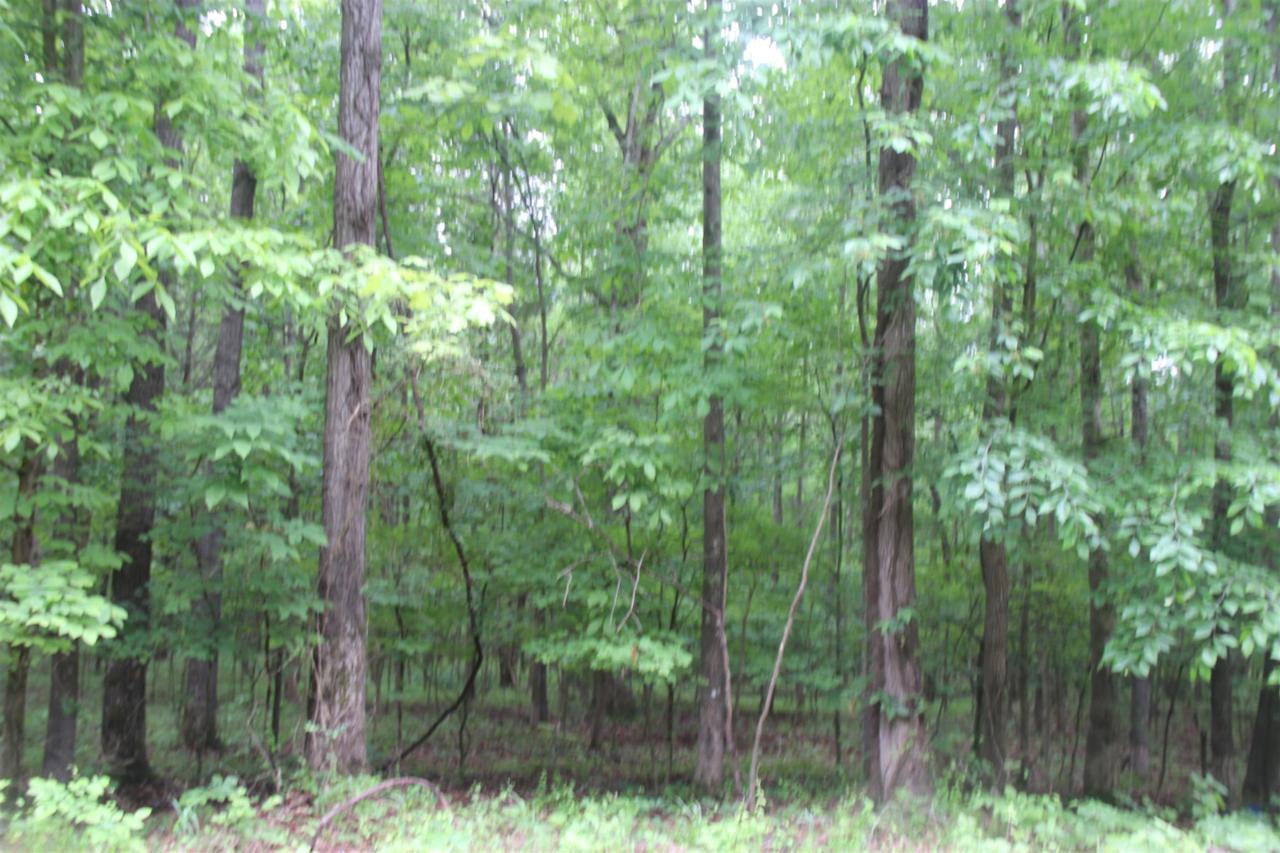 0 Patricia Circle - Photo 1