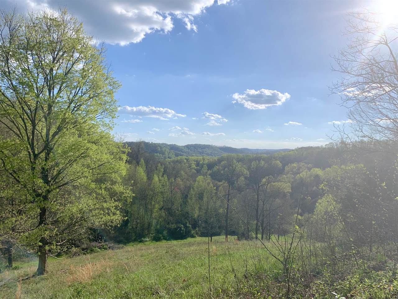 1784 Hurricane Creek Rd - Photo 1