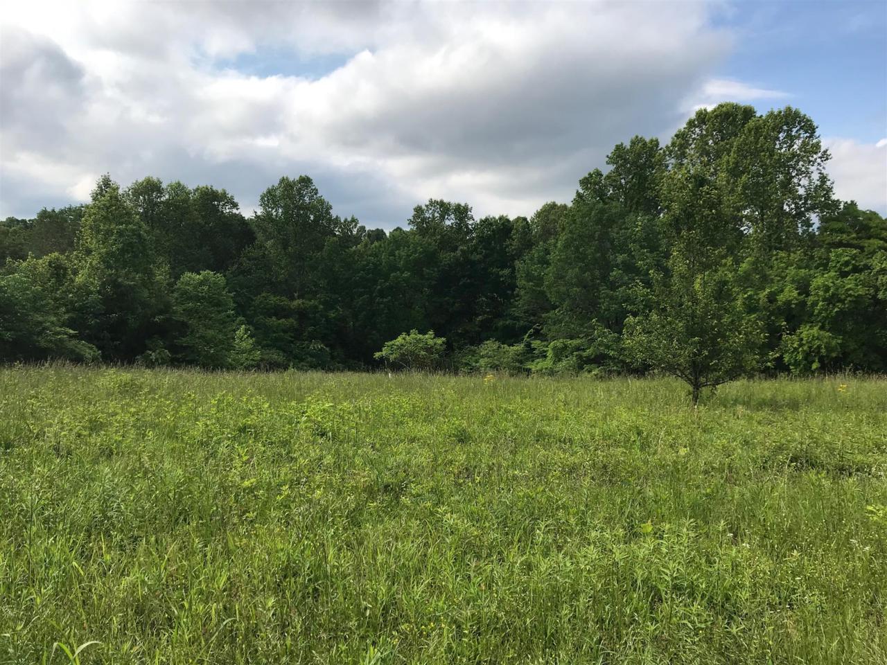 1955 Taylor Town Rd - Photo 1
