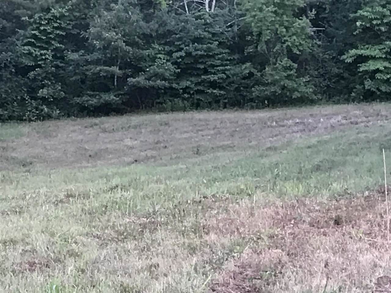 815 Knob Creek Rd - Photo 1