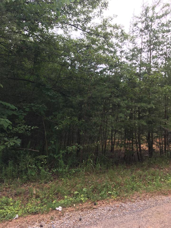 0 Clements Rd - Photo 1