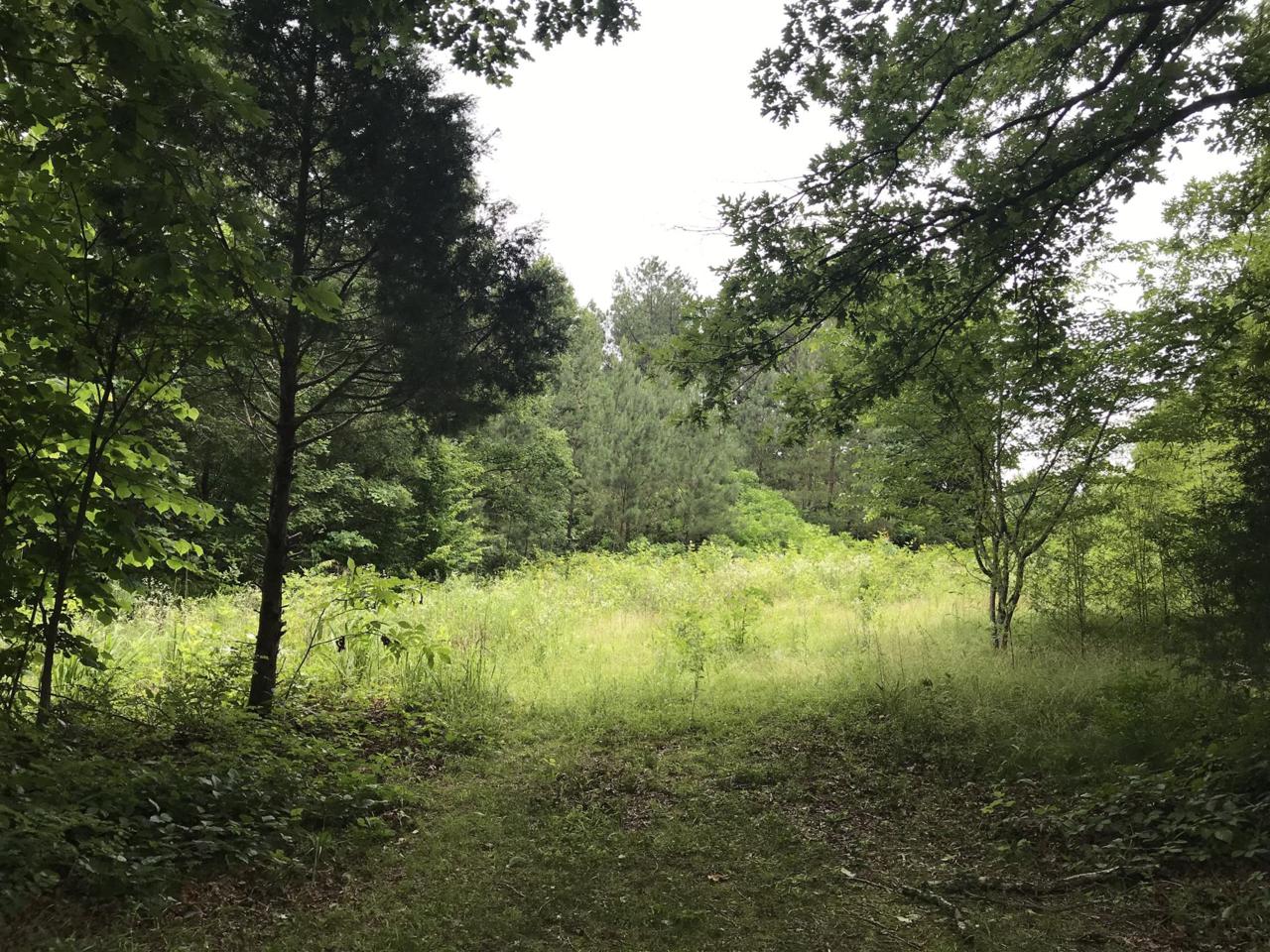 5855 Green Chapel Rd - Photo 1