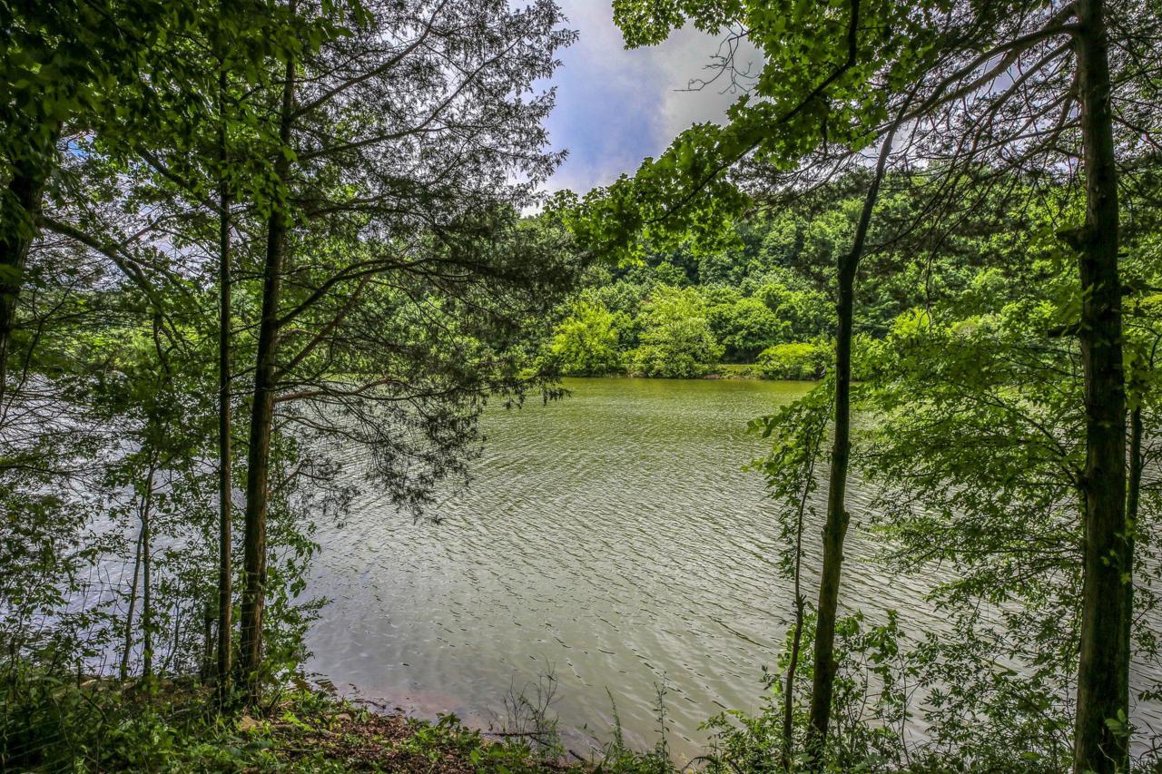 1485 Ridgeville Rd - Photo 1