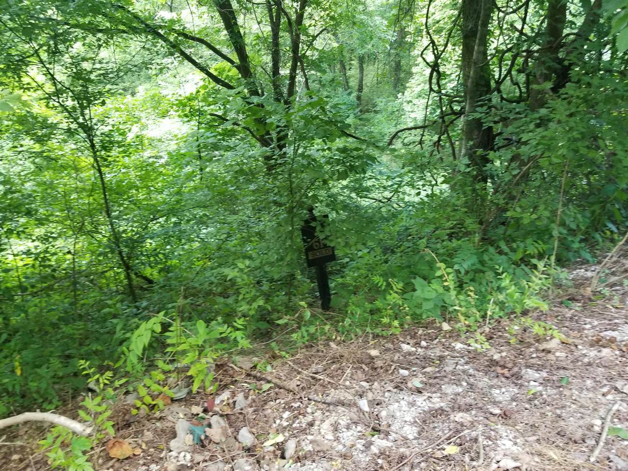61 Maury Ln - Photo 1