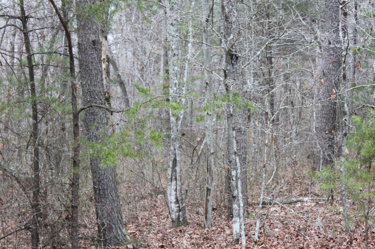 215 Timberwood Trace - Photo 1