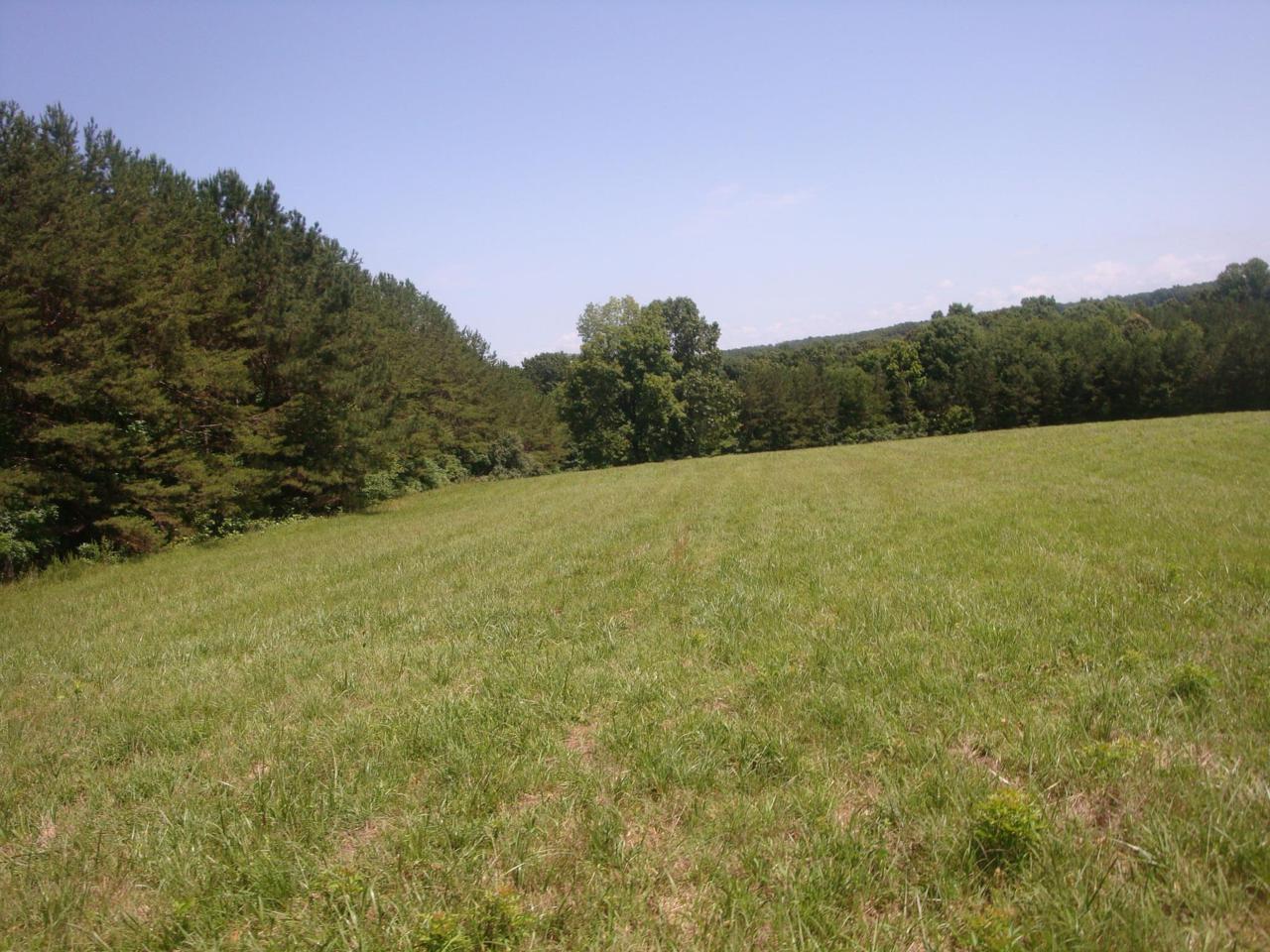 0 Central Turnpike - Photo 1