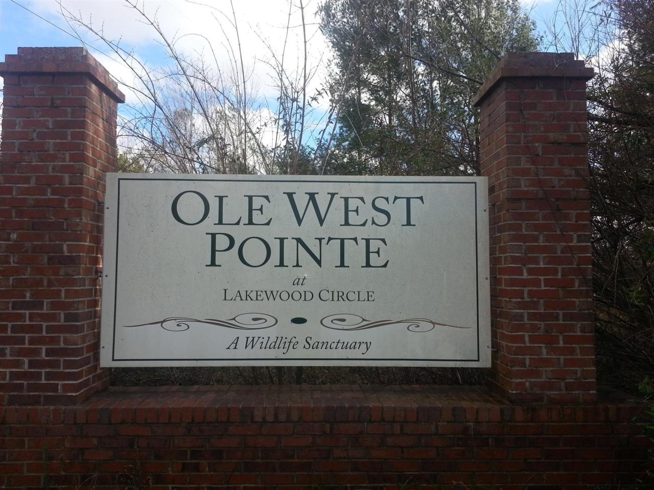 39 W Ole Pointe Rd - Photo 1