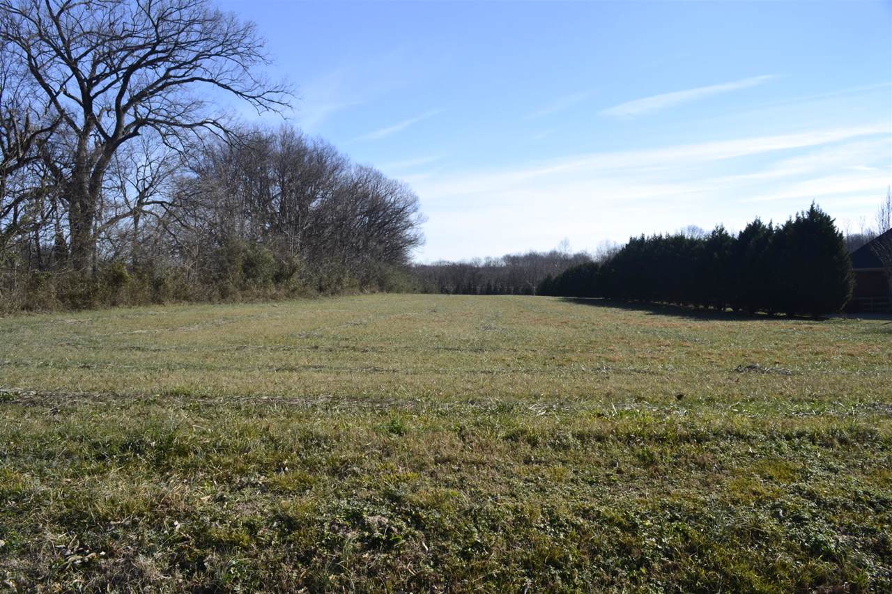 6616 Old Zion Rd - Photo 1