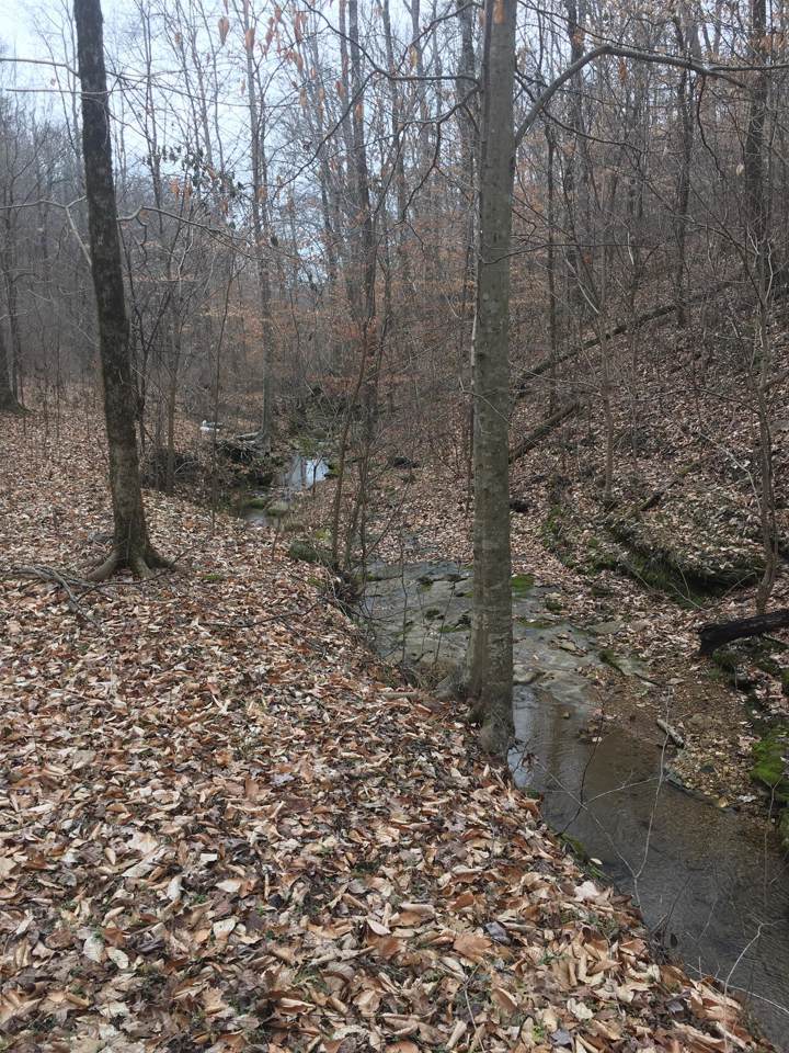 6202 Beech Creek Road - Photo 1