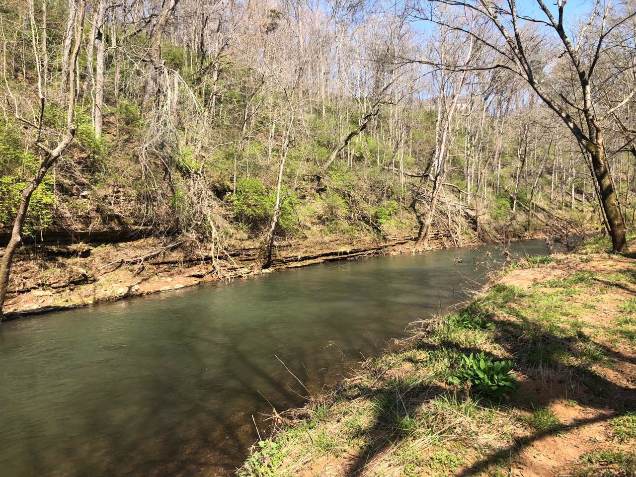 326 Autumn Creek - Photo 1