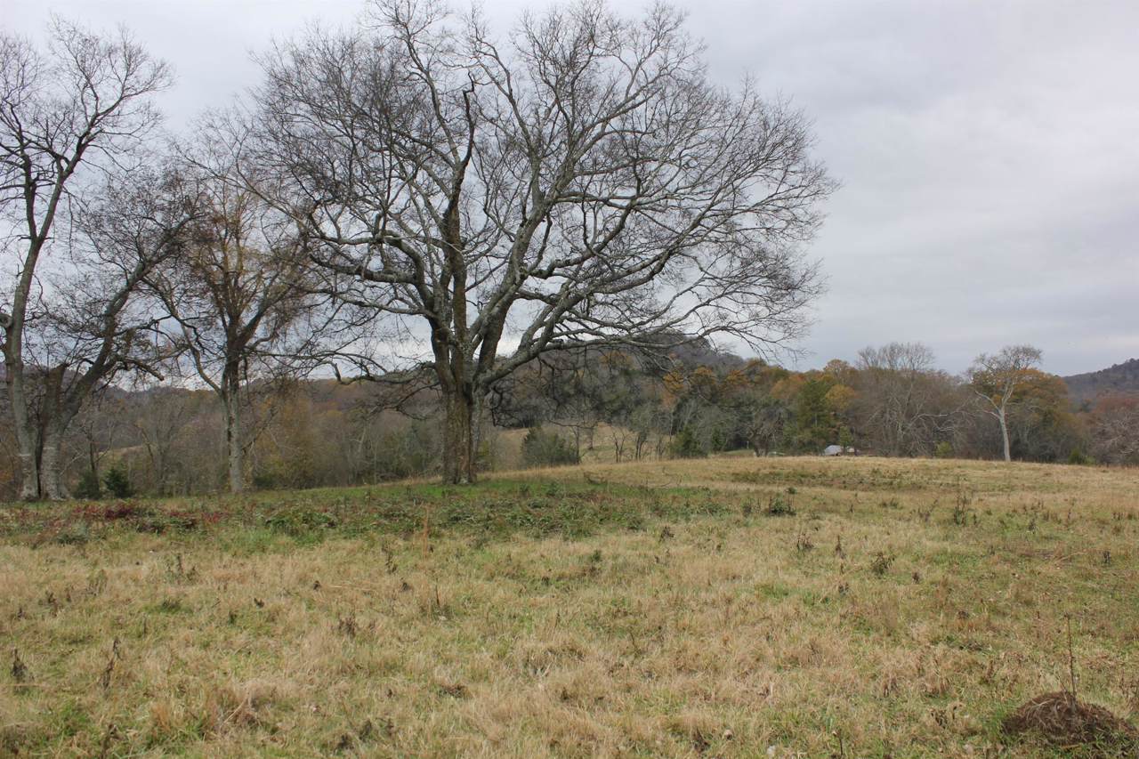 0 Fuss Hollow Rd - Photo 1